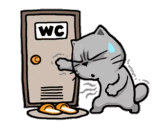 😣 WC Katze, Badezimmer, Toilette, WC, Warten, Eile telegram sticker
