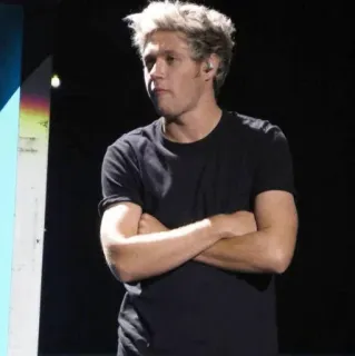✨ Niall Horan นักร้อง, คนดัง, เพลง, One Direction, Niall Horan, ไอริช telegram sticker