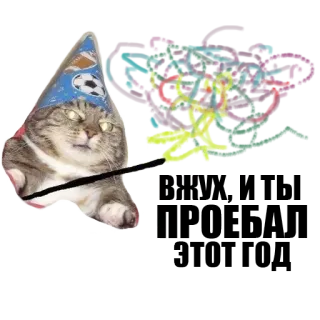 ✨ kat, tovenaar, hoed, magie, dier, huisdier, sticker telegram sticker