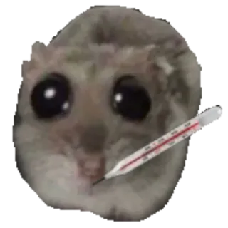 🌡 sugar glider sick, fever, ill, thermometer, sugar glider, animal, cute telegram sticker