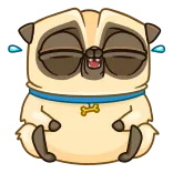 Penny Pug | @Premium_Emojis_Telegram telegram emojis 😂