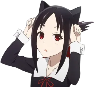 😽 Kaguya Shinomiya Kaguya-sama: Love Is War Anime, Kaguya, Kaguya-sama, Love is War, Cartoni animati, Orecchie da gatto telegram sticker