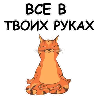 YogaCat @stickersb2b whatsapp stickers