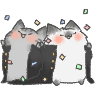 🤩 katten, feest, party, confetti, schattig, animatie, dier whatsapp sticker