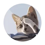 🪙