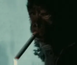 🌟 cigar, smoking, cigarette, tobacco whatsapp sticker