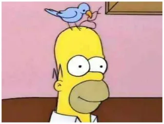 🐒 Homer Simpson The Simpsons Homer Simpson, cartoon, bird, bluebird, The Simpsons telegram sticker