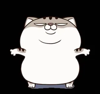 🥊 mèo, động vật, dễ thương, hoạt hình, hình minh họa, hài hước whatsapp sticker