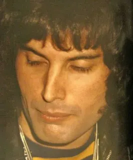 😑 Freddie Mercury cantante, regina, freddie, mercury, musica, rock telegram sticker