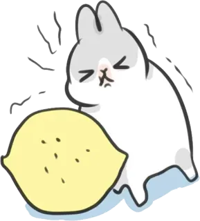 greyrabbit_2 telegram stickers