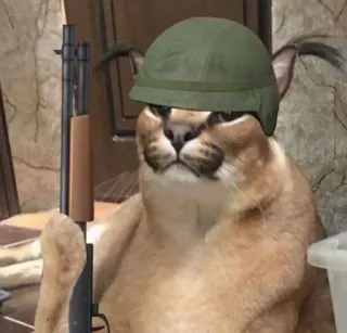 🔫 cat, helmet, gun, military, weapon telegram sticker