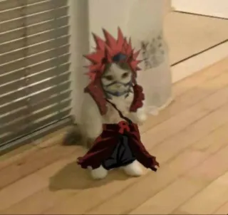 🪨 cat, anime, cosplay, cute, funny, red hair, pet telegram sticker