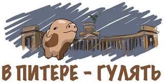 👍 В ПИТЕРЕ - ГУЛЯТЬ cerdo, san petersburgo, rusia, viajes, ciudad whatsapp sticker