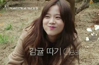 😂 감귤 따기 Clear wanita, korea, buah, tersenyum, jernih whatsapp sticker