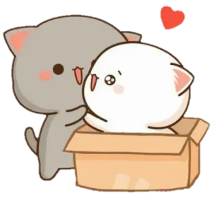 🤗 kot, kawaii, miłość, para, pudełko whatsapp sticker