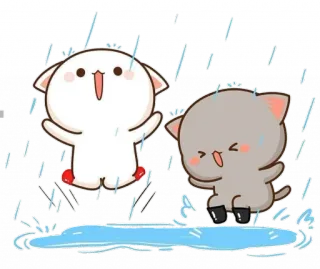 👫 猫, 雨, かわいい, 動物, 水たまり, 可愛い, アニメ whatsapp sticker