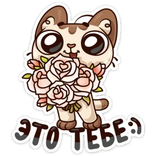 ☺️ ЭТО ТЕБЕ :) gato, gatito, flores, rosas, lindo, dibujos animados whatsapp sticker