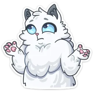 🤷‍♀️ cat, cute, white cat, shrug, emoticon, sticker telegram sticker