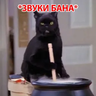 😡 *ЗВУКИ БАНА* 猫, ポーション, ハロウィン, 魔法, 魔女 telegram sticker