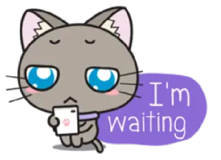 📱 I'm waiting gato, esperando, smartphone, desenho animado, fofo, animal whatsapp sticker