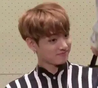 👤 Jungkook K-pop, Korean pop, idol, singer, celebrity, music, portrait telegram sticker