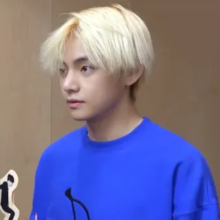 🕸 V K-pop, айдол, певец, мода, BTS, мужской telegram sticker
