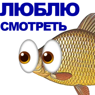 🐠 poisson, yeux, animal, dessin animé whatsapp sticker