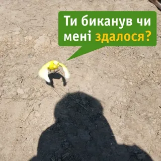 🤨 Ти биканув чи мені здалося? นก, เงา, พื้น, บิน, หญ้า telegram sticker