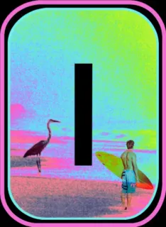 😎 I praia, surf, surfista, pássaro, oceano, pôr do sol telegram sticker