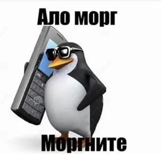 😐 Ало морг 
Моргните Pinguin, Handy, Sonnenbrille, Leichenhalle, Humor telegram sticker