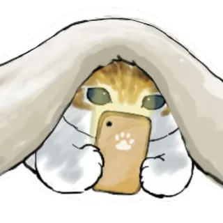 🤳 gato, teléfono, manta, lindo, animal, mascota whatsapp sticker