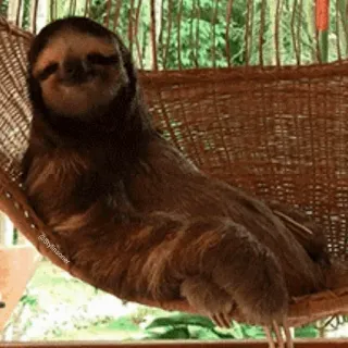ᭁSLOTH ᪳𝄄 @play_with_fire whatsapp stickers