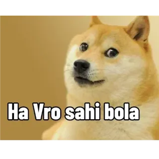 🙂 Doge Ha Vro sahi bola doge, meme, shiba inu, funny, reaction, dog, sarcastic telegram sticker