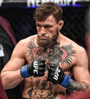 😮 Conor McGregor 斗士, MMA, UFC, 体育, 运动员, 纹身 telegram sticker