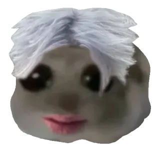👩‍🦳 Beluga Beluga YouTube channel beluga, cat, meme, funny, white hair, internet meme, reaction telegram sticker