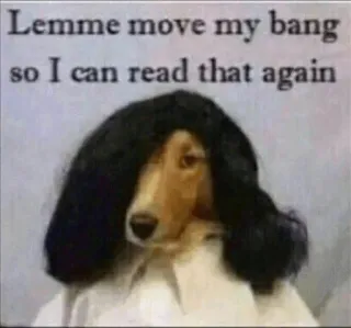 🙂 Lemme move my bang so I can read that again whatsapp sticker