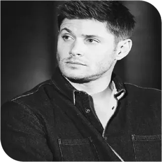 📎 Dean Winchester Supernatural Dean Winchester, Supernatural, Jensen Ackles, TV show, black and white, portrait, man telegram sticker