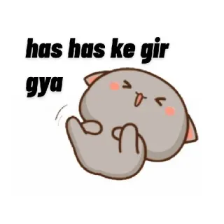 🤣 has has ke gir gya gato, lindo, riendo, gato melocotón, gracioso whatsapp sticker