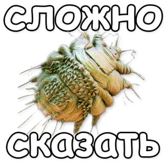 🙊 СЛОЖНО
СКАЗАТЬ difficult, say, question, uncertain, russian telegram sticker