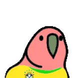 🦜 bird, parakeet, Brazil, soccer, football, yellow, sports telegram sticker
