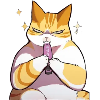 Кайден whatsapp stickers