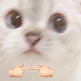 ☺️ แมว, ขี้อาย, น่ารัก, สัตว์, อิโมจิ, มีม telegram sticker
