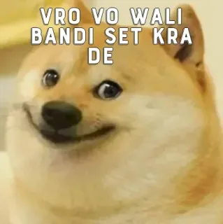 😓 Doge Doge Meme VRO VO WALI BANDI SET KRA DE doge, meme, shiba inu, funny, internet culture telegram sticker