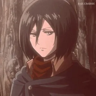 💗 Mikasa Ackerman Attack on Titan Anime, Animation, Cartoon, Mikasa, Attack on Titan telegram sticker