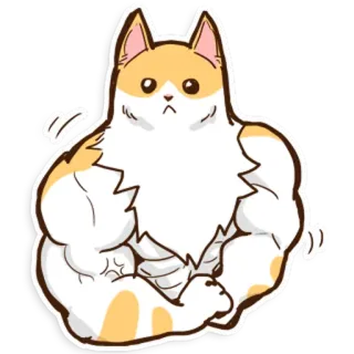 💪 gatto, muscoloso, muscolo, animale, animale domestico, divertente whatsapp sticker