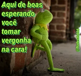 😌 Kermit Aqui de boas esperando você tomar vergonha na cara! Kermit the Frog, waiting, shame, Muppets, green, attitude telegram sticker