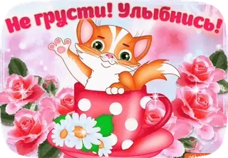 😿 Не грусти! Улыбнись! kucing, cangkir, bunga, lucu, positif, bahagia, salam whatsapp sticker