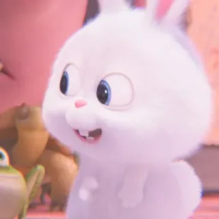 🐰 conejo, lindo, blanco, animal, esponjoso, peluche telegram sticker