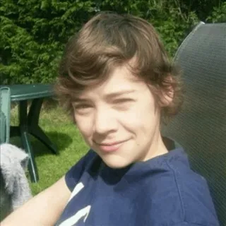 🍩 Harry Styles musician, celebrity, singer, portrait, person, young telegram sticker