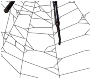 😥 spiderweb, web, halloween, spooky, dark telegram sticker